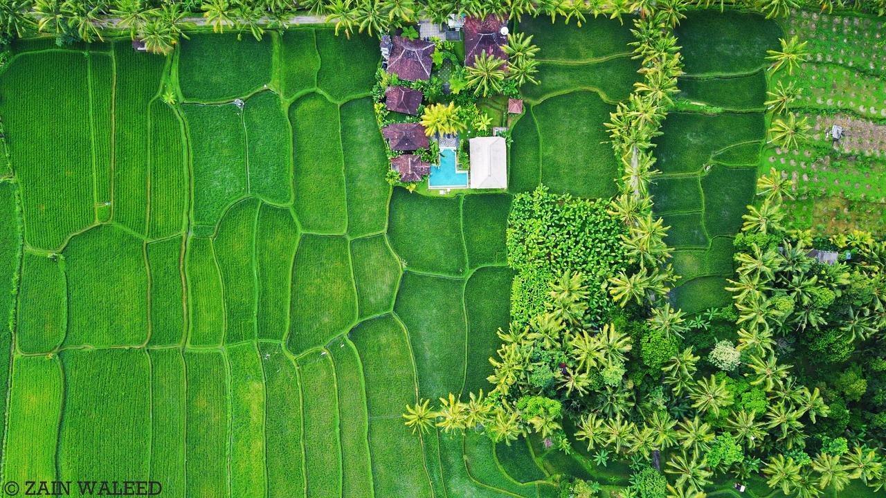 Hati Padi Cottages Ubud Exterior foto
