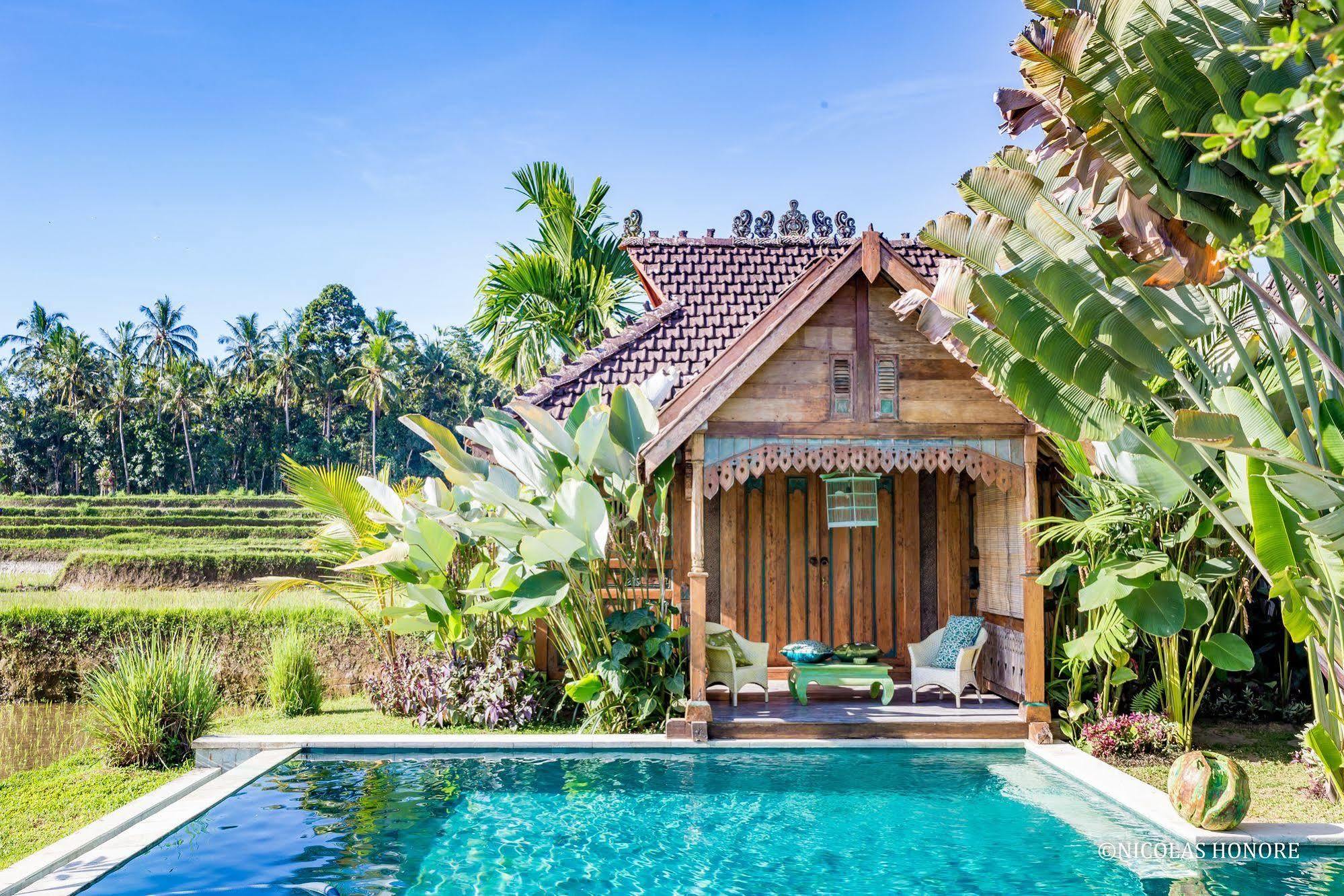 Hati Padi Cottages Ubud Exterior foto
