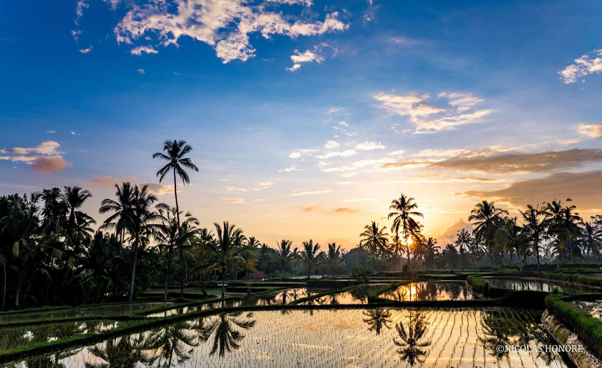 Hati Padi Cottages Ubud Exterior foto