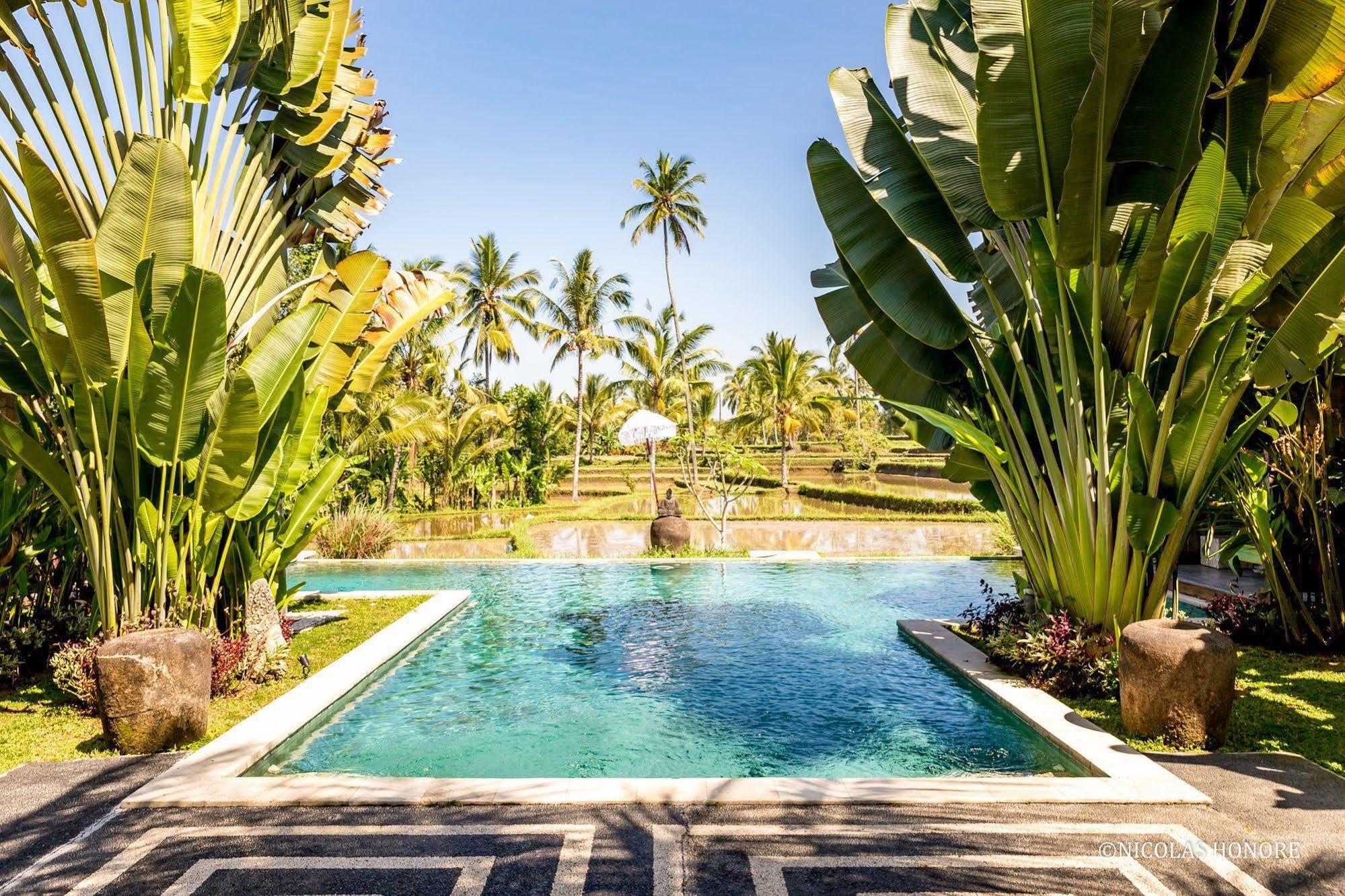 Hati Padi Cottages Ubud Exterior foto